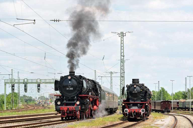01 202 und 41 018 in Neustadt/Weinstrasse (Mai 2014)
