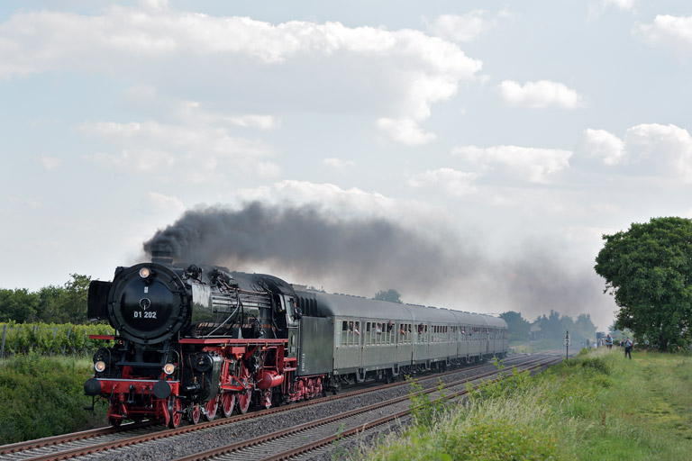 01 202 bei Maikammer (Mai 2014)