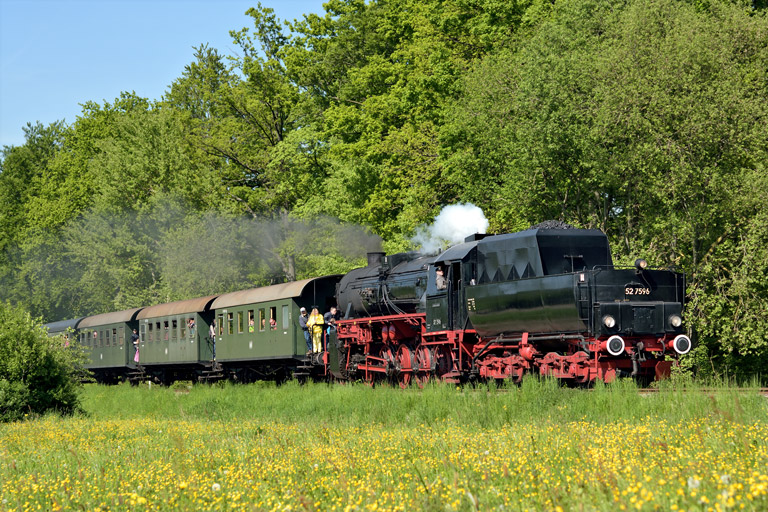 52 7596 in Holzgerlingen (Mai 2014)