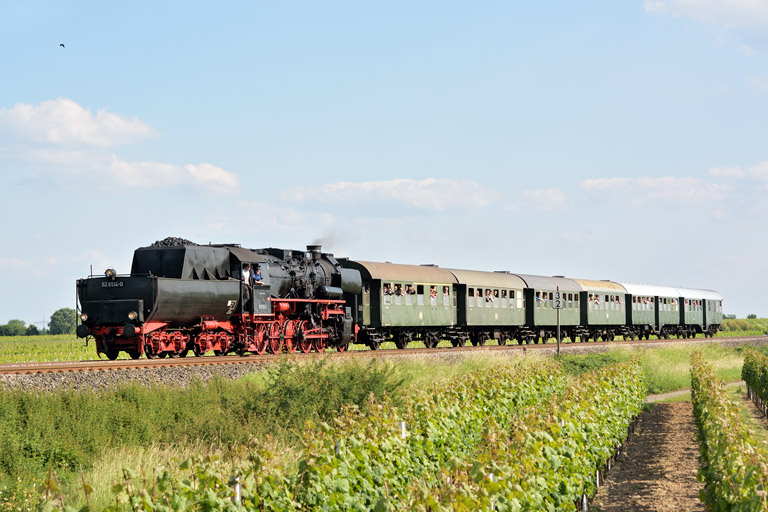 52 8134 bei Maikammer (Mai 2014)
