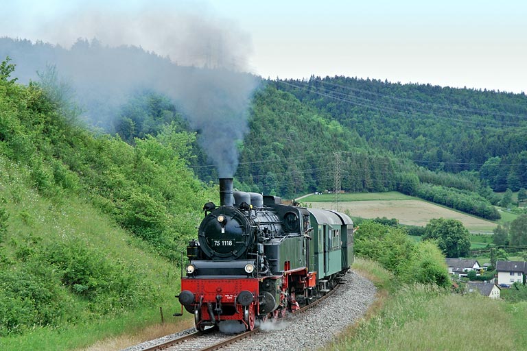75 1118 bei Zollhaus-Blumberg (Mai 2007)