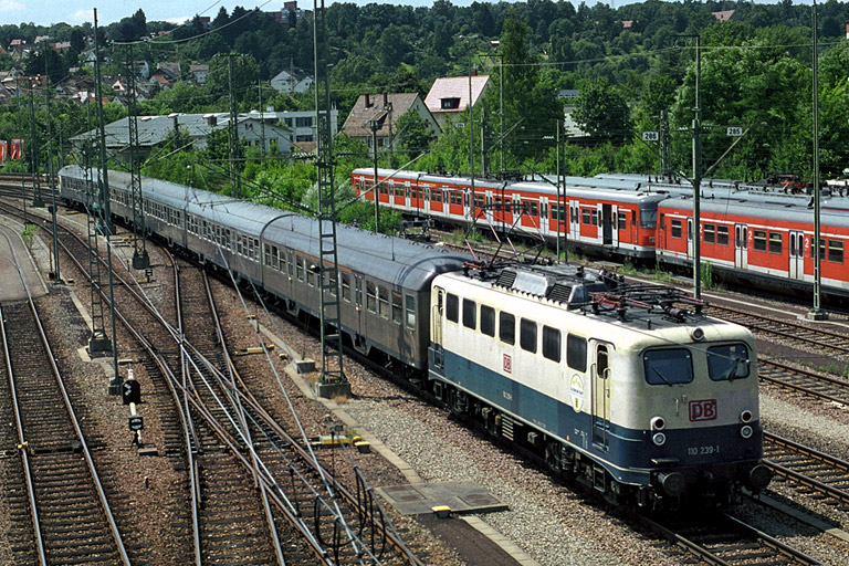 110 239 bei km 16,0 (Sommer 2002)