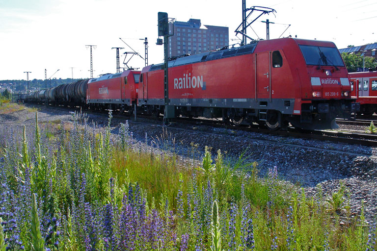 185 208 und 185 229 bei km 15,6 (Juni 2009)