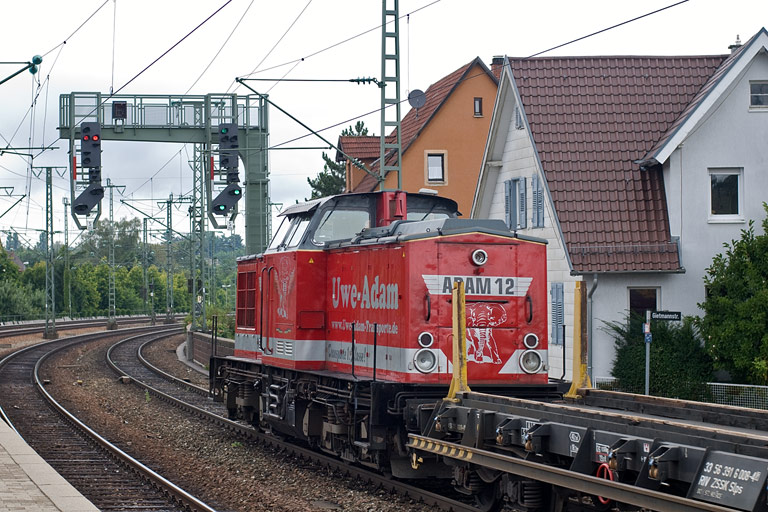 Adam 12 (ex-DR 202 738) bei km 16,6 (August 2009)
