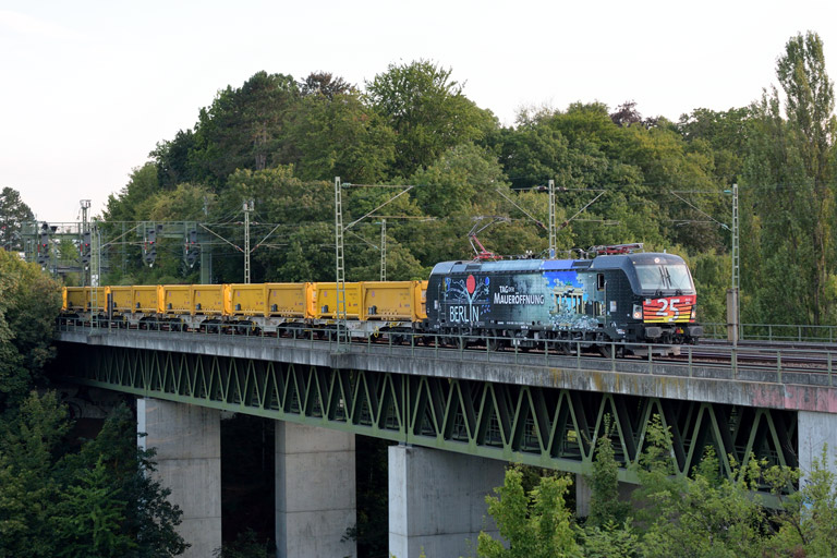 193 876 bei km 14,6 (August 2015)