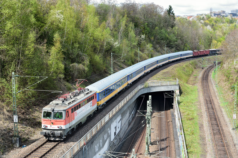 1142 654 mit DGS 69056 bei km 13,8 (April 2016)