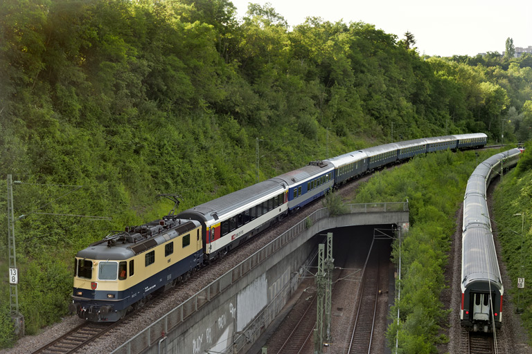 421 387 mit DPE 31469 bei km 13,8 (Juli 2020)