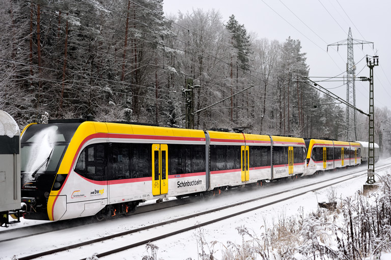 455 001 und 455 002 bei km 18,2 (Januar 2021)
