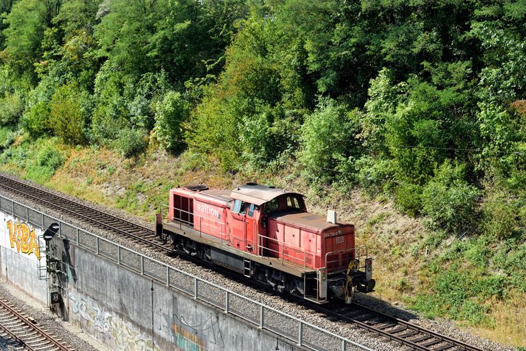294 719 bei km 14,0 (Juli 2023)