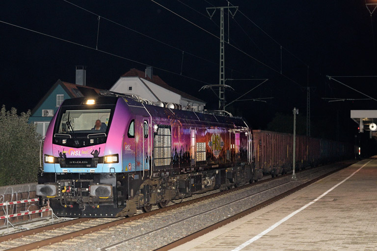 2019 307 bei km 16,8 (Oktober 2025)